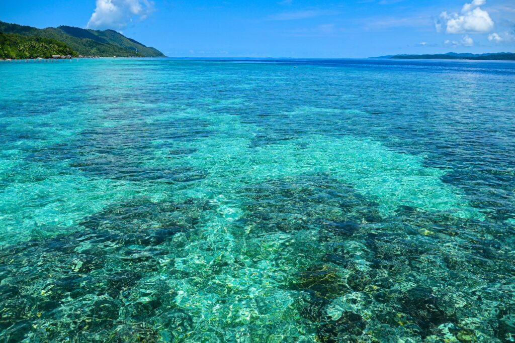Best Snorkeling Spots in Komodo: Honestly Graded by Current and Skill