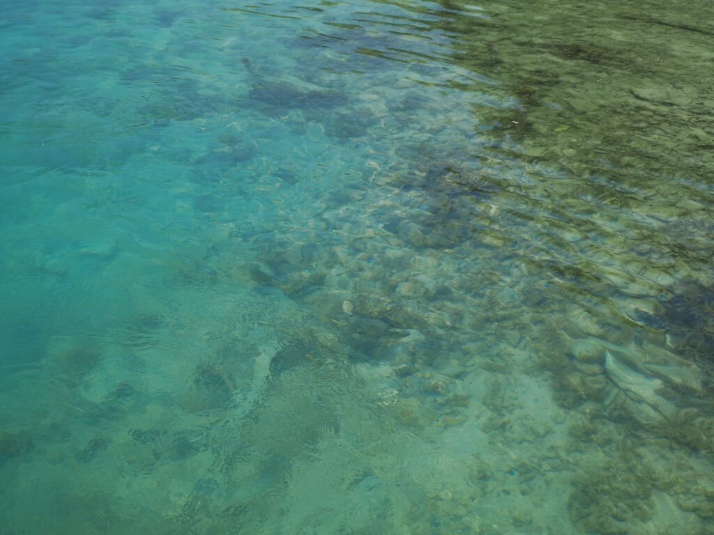 First Time Snorkeling in Komodo: A No-Hype Preparation Guide
