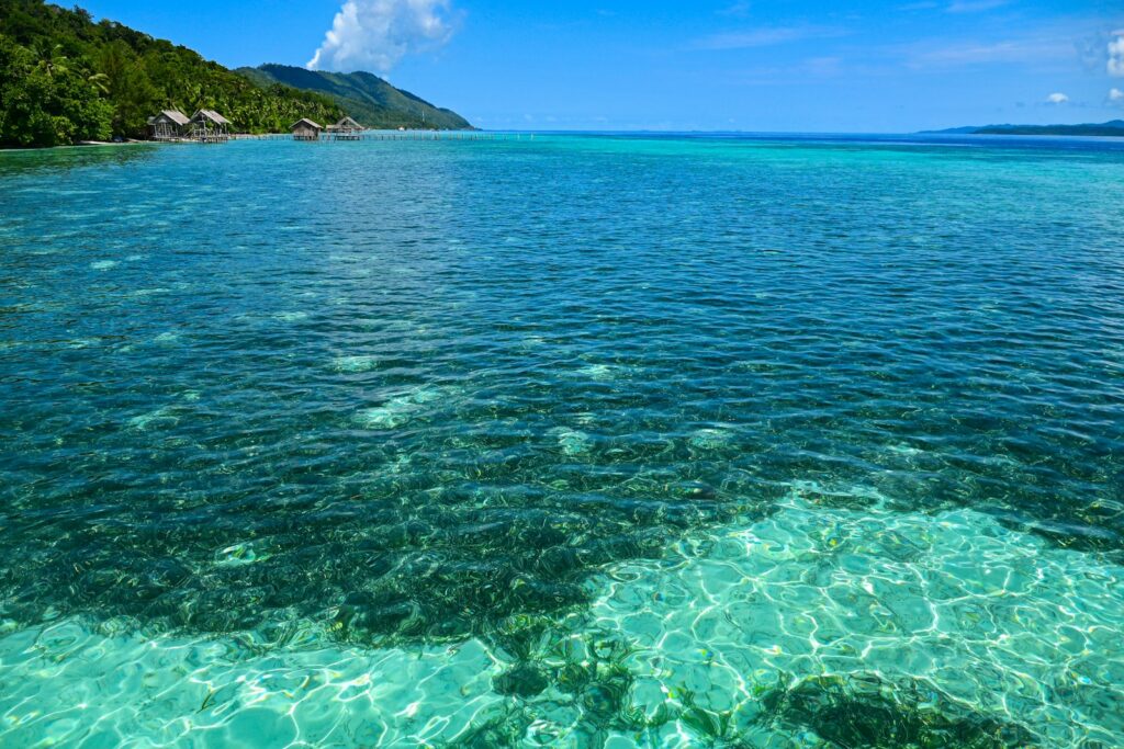 Komodo Snorkeling Tour: The Independent Planning Guide for Non-Divers
