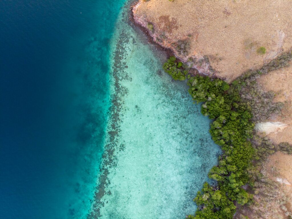 Is June a Good Time to Snorkel Komodo? Honest Peak-Season Verdict