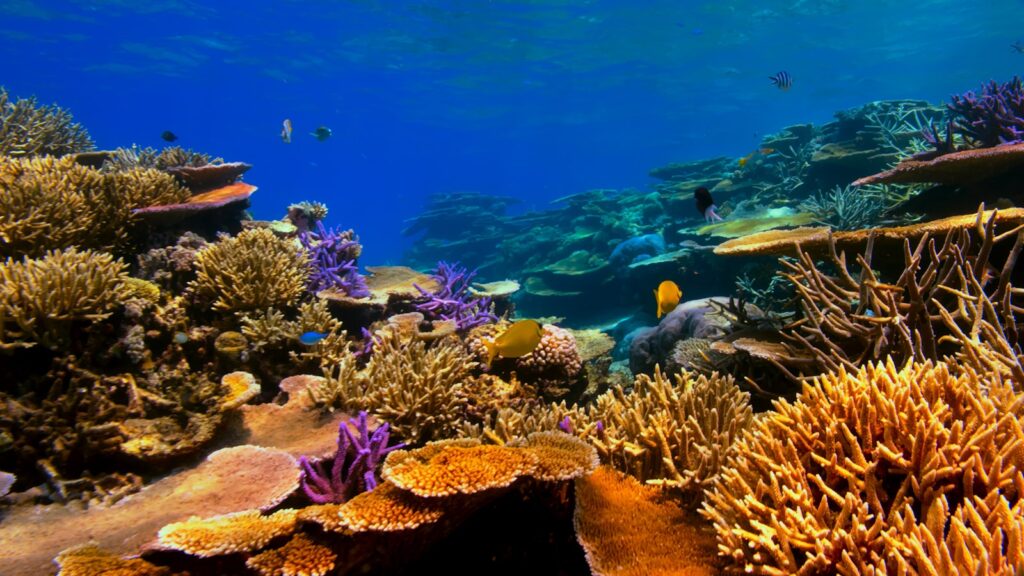 Is Komodo Snorkeling Worth It If You Don’t Dive? A Non-Diver’s Honest Audit