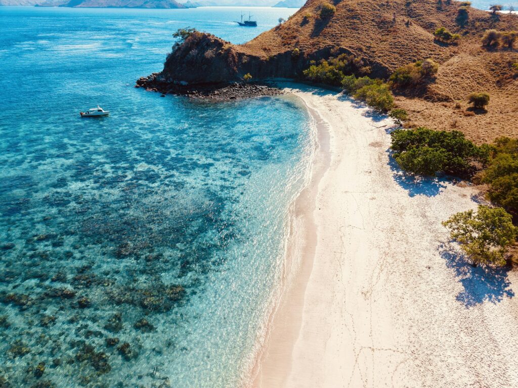 Pink Beach Komodo Snorkeling: The Bay, the Current, the Real Pink