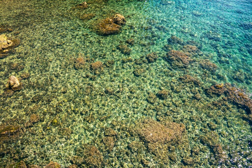 Reef-Safe Sunscreen for Komodo: What’s Required, What’s Just Right