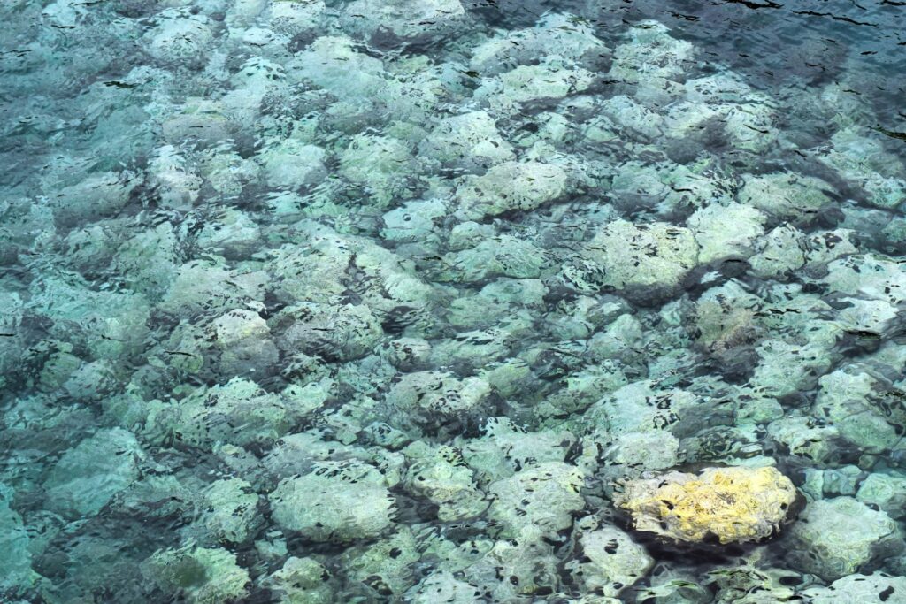 Seniors Snorkeling Komodo: Realistic Planning for 60+, 70+ Travelers