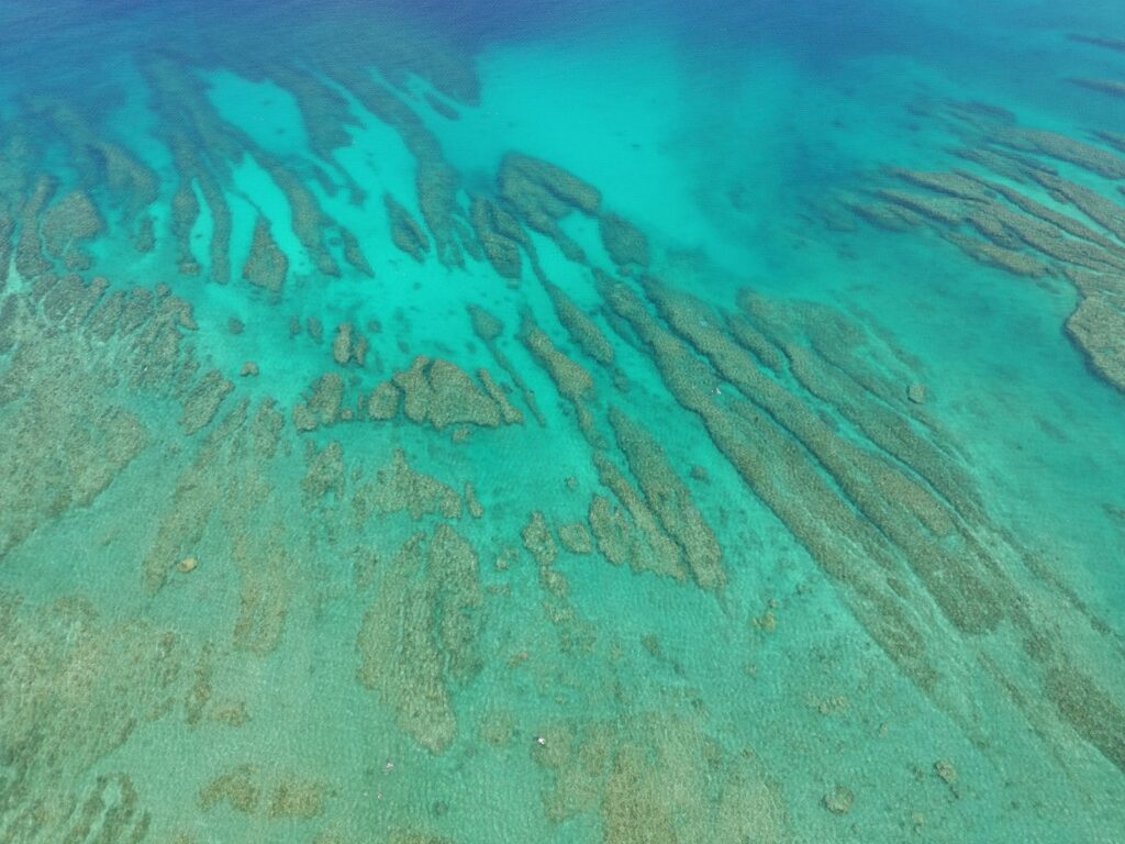 Tempat Snorkeling Terbaik di Labuan Bajo dan Taman Nasional Komodo